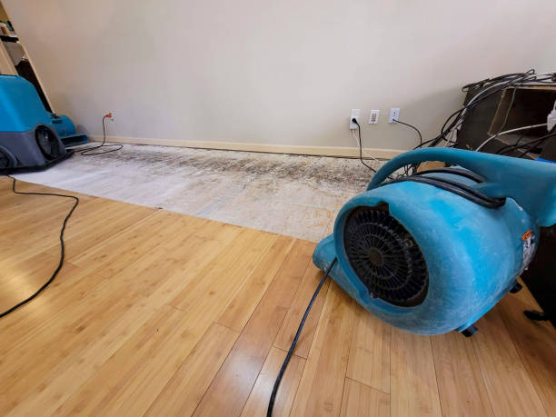 Professional Basement Flood Cleanup technician working in Lake City, PA